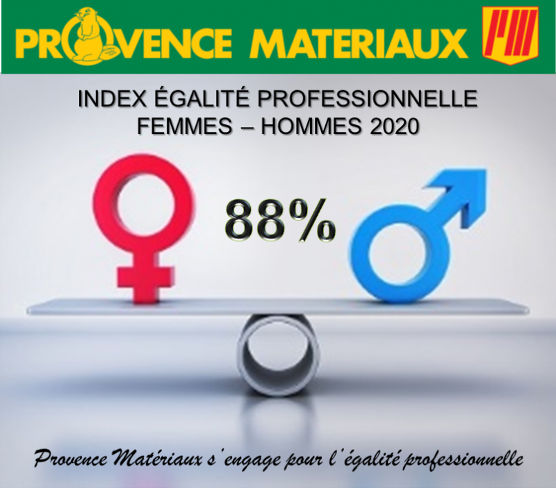Index de l'égalité professionnelle 2020